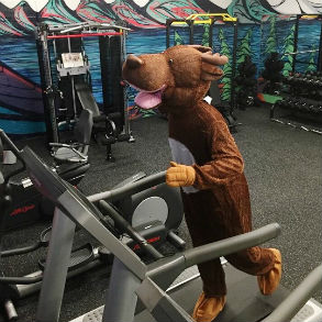 Looks like the #D2LMoose might be breaking a sweat! ? We’re pumped to have access to a 24/7 gym at our headquarters in Kitchener! #LifeAtD2L