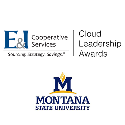 E&I Cloud Leadership Awards logo