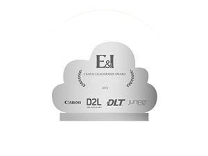 E&I Cloud Leadership Awards Trophy